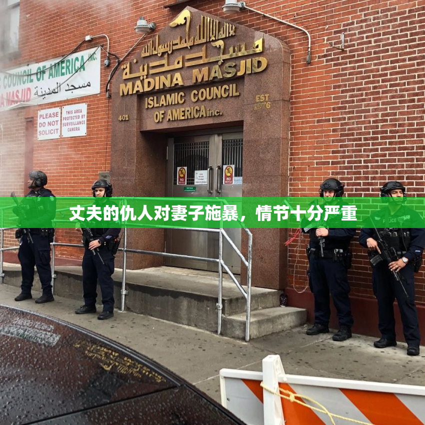 丈夫的仇人对妻子施暴，情节十分严重