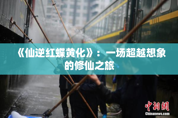 《仙逆红蝶黄化》：一场超越想象的修仙之旅