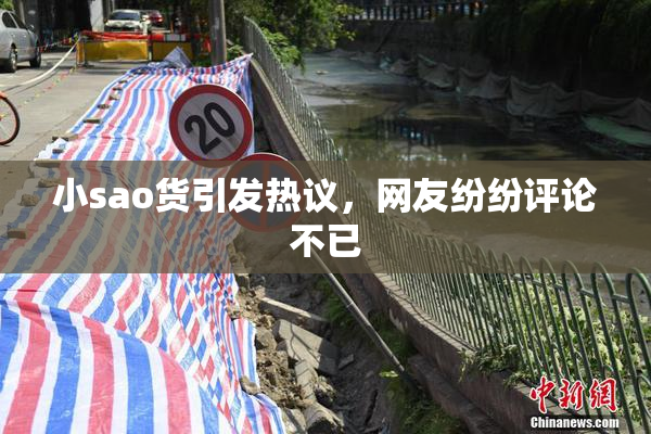 小sao货引发热议，网友纷纷评论不已