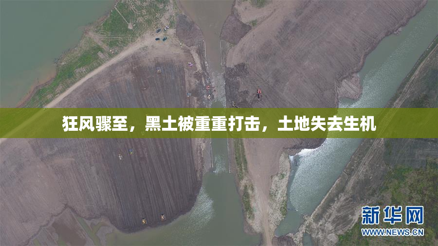 狂风骤至，黑土被重重打击，土地失去生机