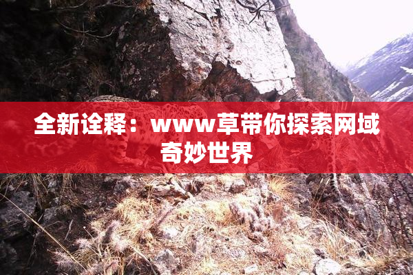 全新诠释：www草带你探索网域奇妙世界