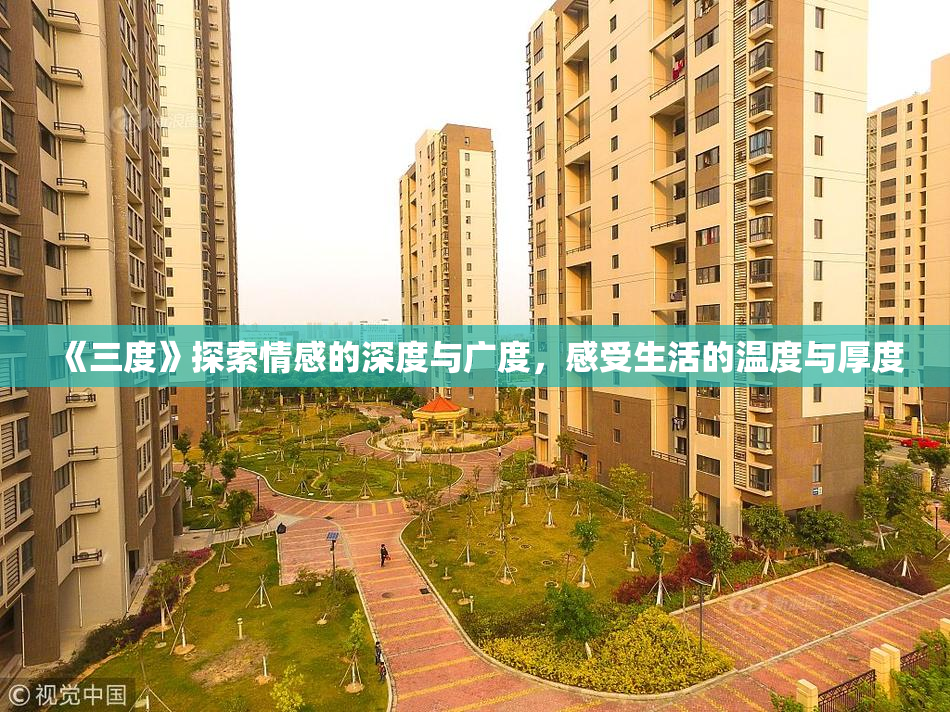 《三度》探索情感的深度与广度，感受生活的温度与厚度