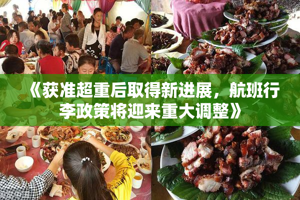 《获准超重后取得新进展，航班行李政策将迎来重大调整》