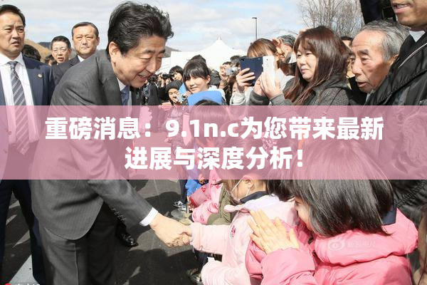 重磅消息：9.1n.c为您带来最新进展与深度分析！
