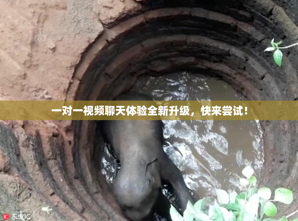 一对一视频聊天体验全新升级，快来尝试！