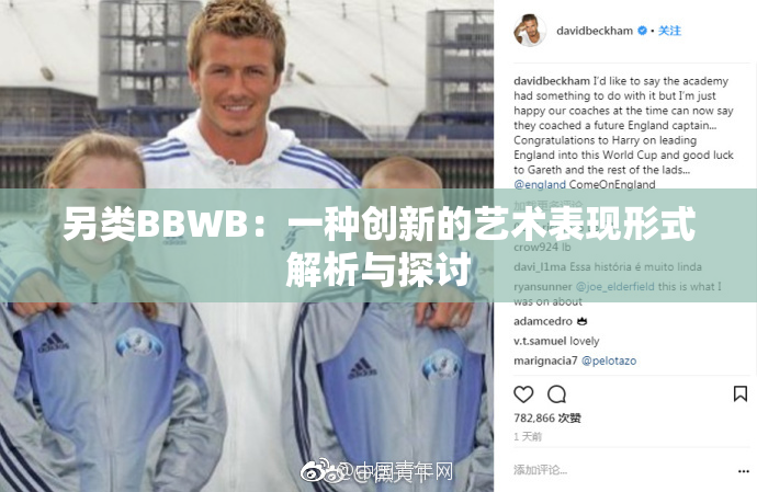 另类BBWB：一种创新的艺术表现形式解析与探讨