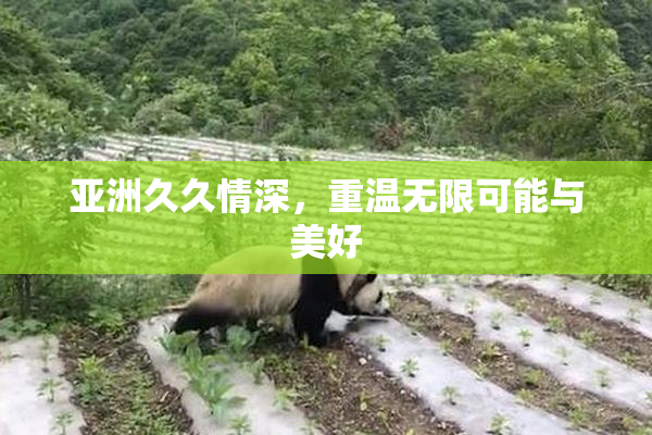 亚洲久久情深，重温无限可能与美好