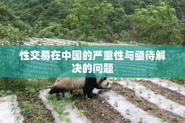 性交易在中国的严重性与亟待解决的问题