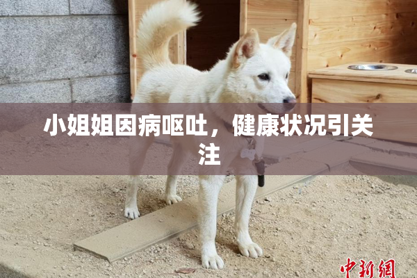 小姐姐因病呕吐，健康状况引关注
