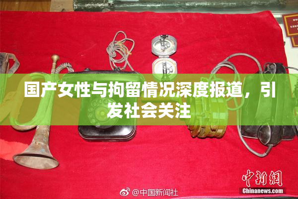 国产女性与拘留情况深度报道，引发社会关注