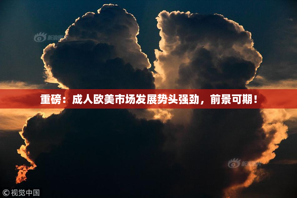 重磅：成人欧美市场发展势头强劲，前景可期！
