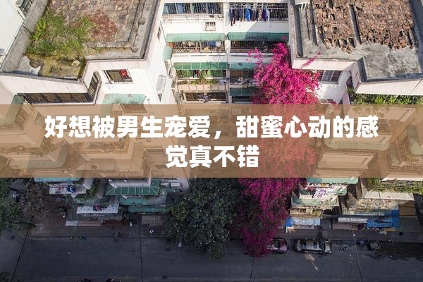好想被男生宠爱，甜蜜心动的感觉真不错