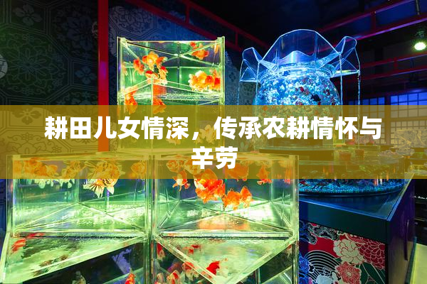 耕田儿女情深，传承农耕情怀与辛劳