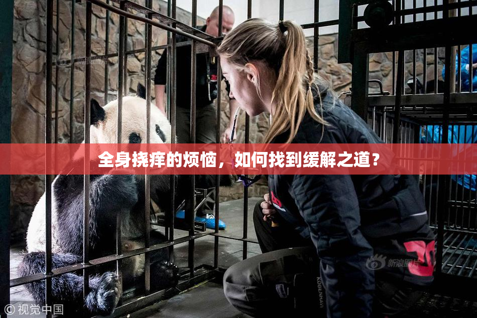 全身挠痒的烦恼，如何找到缓解之道？