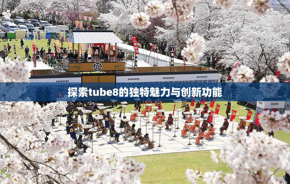 探索tube8的独特魅力与创新功能