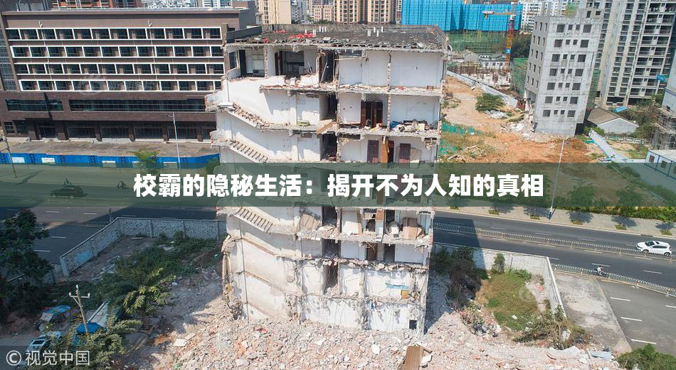 校霸的隐秘生活：揭开不为人知的真相
