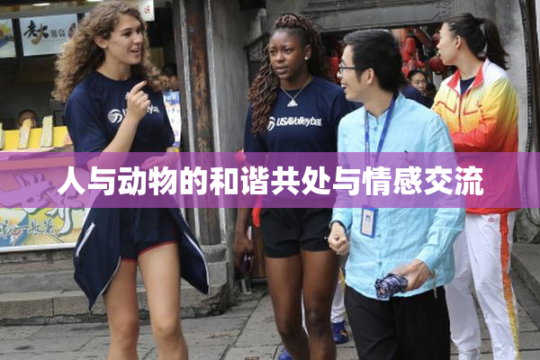 人与动物的和谐共处与情感交流