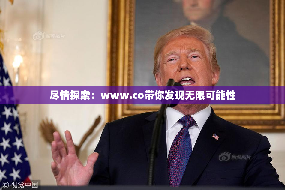 尽情探索：www.co带你发现无限可能性