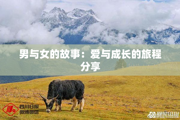 男与女的故事：爱与成长的旅程分享