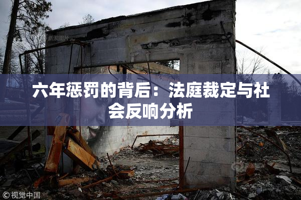 六年惩罚的背后：法庭裁定与社会反响分析