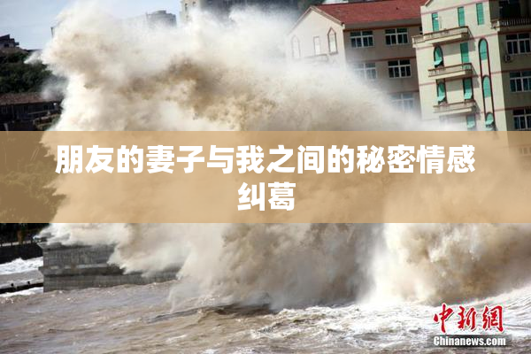 朋友的妻子与我之间的秘密情感纠葛