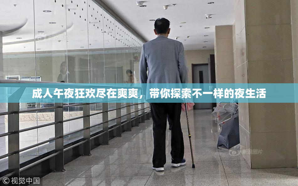 成人午夜狂欢尽在爽爽，带你探索不一样的夜生活