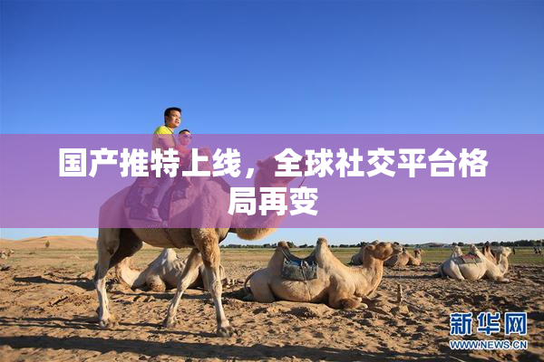 国产推特上线，全球社交平台格局再变