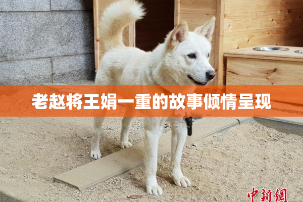 老赵将王娟一重的故事倾情呈现