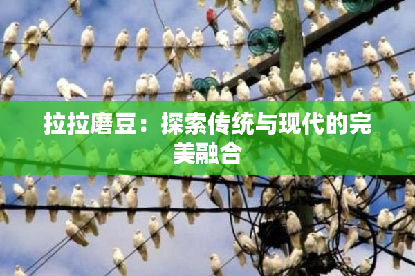 拉拉磨豆：探索传统与现代的完美融合