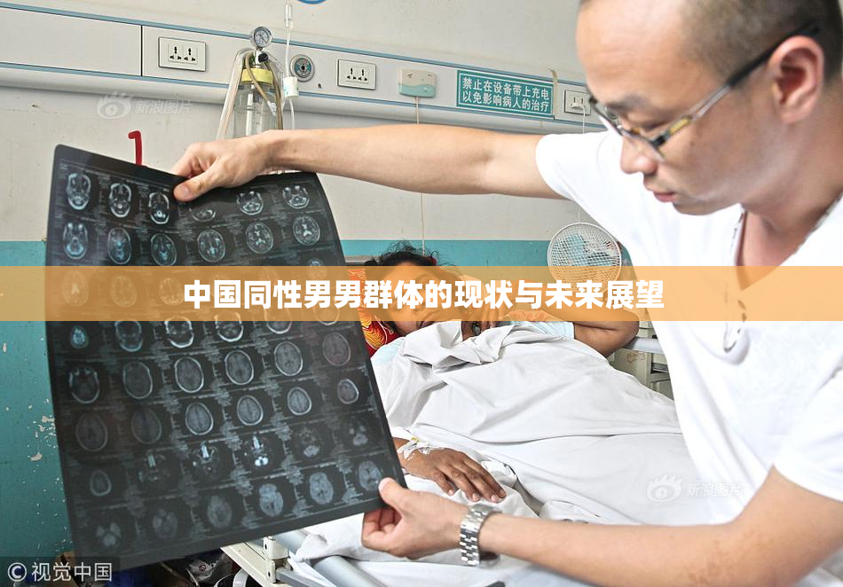 中国同性男男群体的现状与未来展望