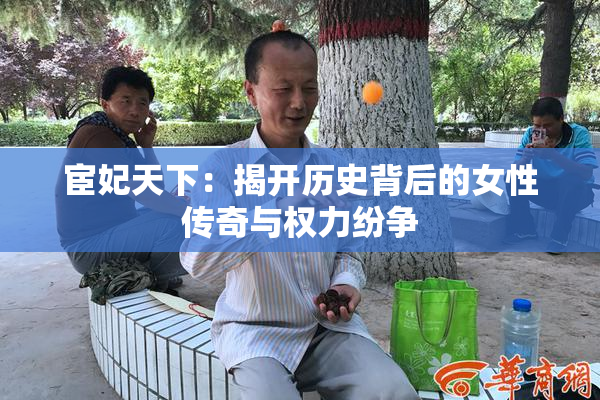宦妃天下：揭开历史背后的女性传奇与权力纷争