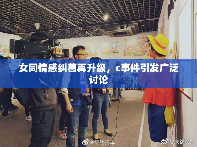 女同情感纠葛再升级，c事件引发广泛讨论