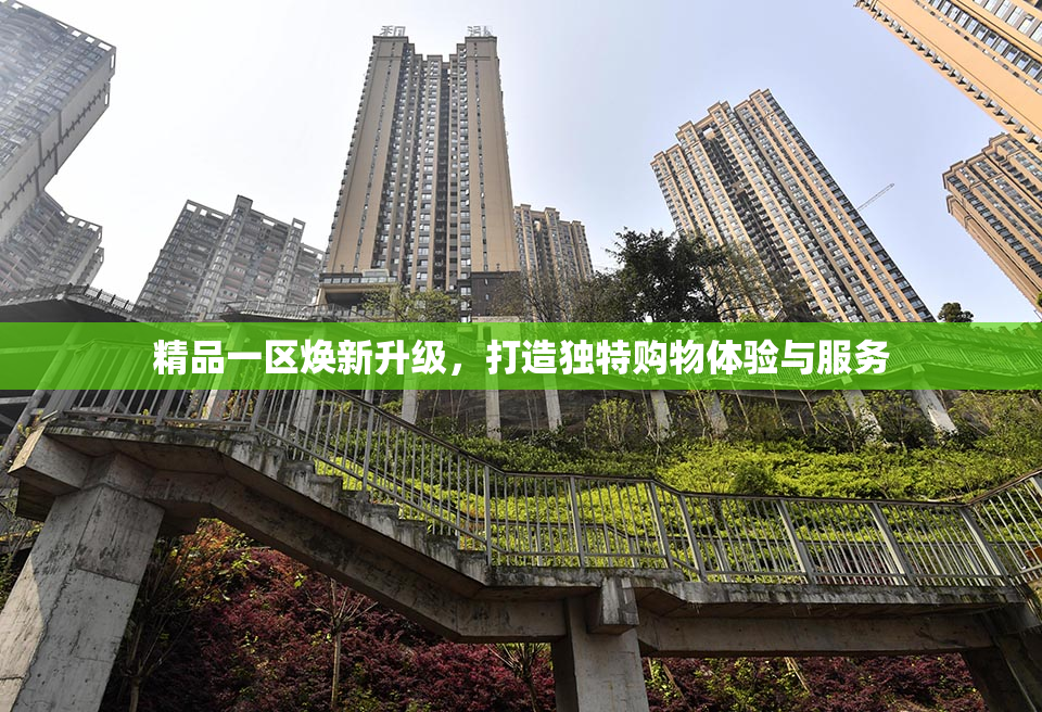 精品一区焕新升级，打造独特购物体验与服务