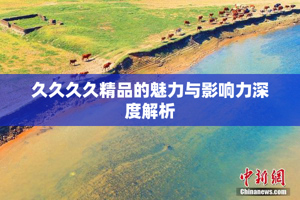 久久久久精品的魅力与影响力深度解析
