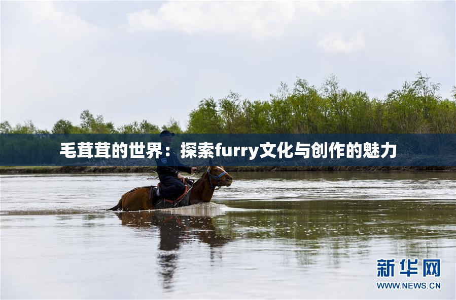毛茸茸的世界：探索furry文化与创作的魅力
