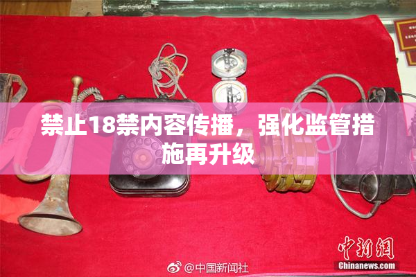 禁止18禁内容传播，强化监管措施再升级