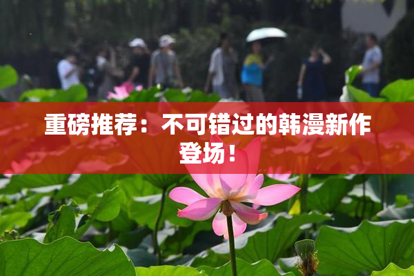 重磅推荐：不可错过的韩漫新作登场！