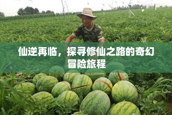 仙逆再临，探寻修仙之路的奇幻冒险旅程