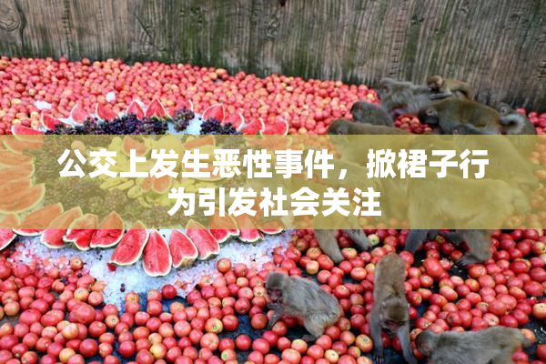 公交上发生恶性事件，掀裙子行为引发社会关注