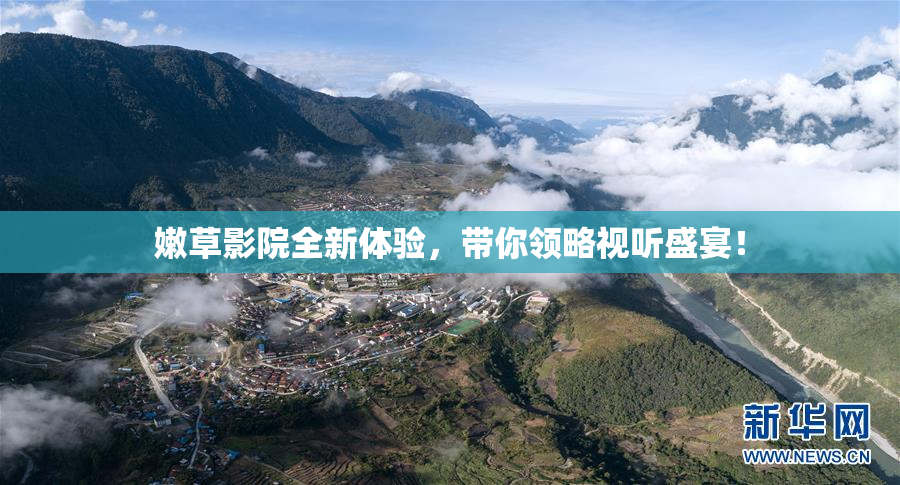 嫩草影院全新体验，带你领略视听盛宴！
