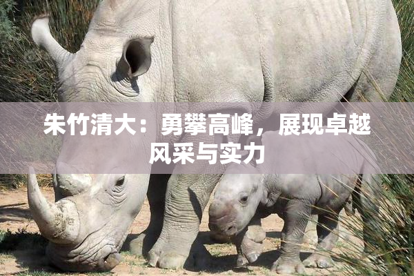朱竹清大：勇攀高峰，展现卓越风采与实力