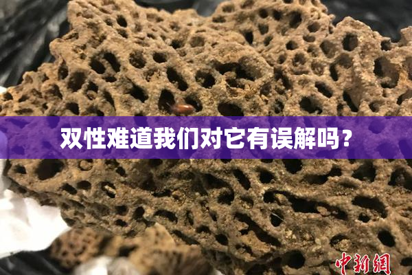 双性难道我们对它有误解吗？