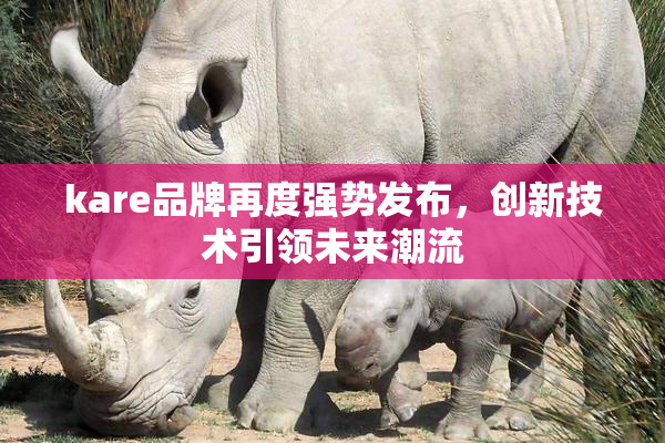 kare品牌再度强势发布，创新技术引领未来潮流