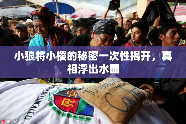 小狼将小樱的秘密一次性揭开，真相浮出水面