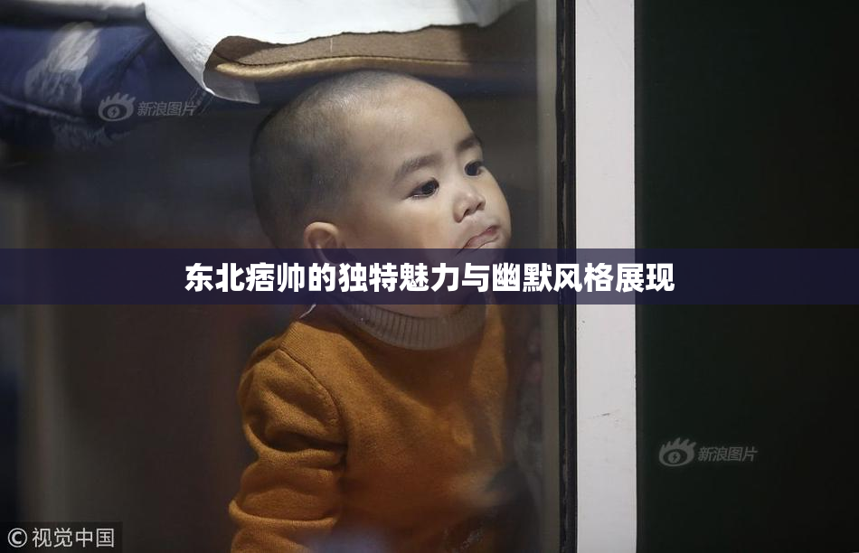 东北痞帅的独特魅力与幽默风格展现