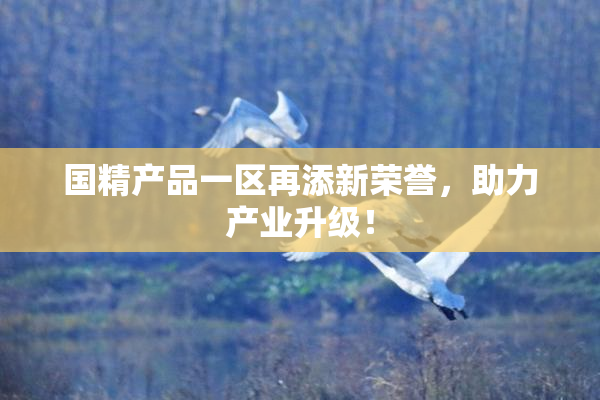 国精产品一区再添新荣誉，助力产业升级！