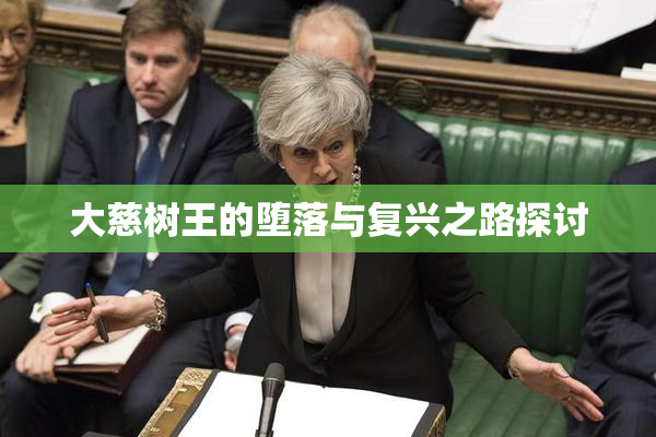 大慈树王的堕落与复兴之路探讨