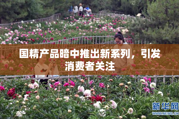 国精产品暗中推出新系列，引发消费者关注