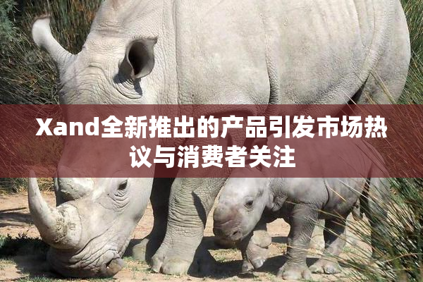 Xand全新推出的产品引发市场热议与消费者关注
