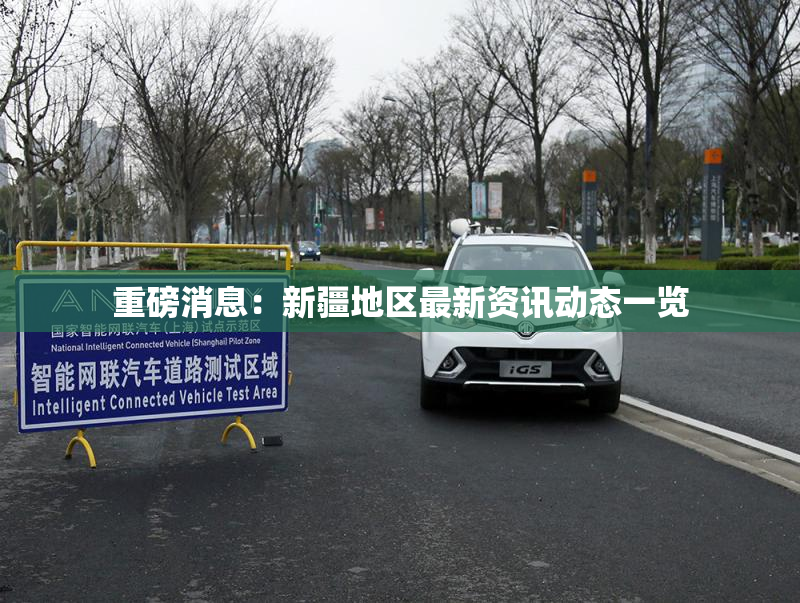 重磅消息：新疆地区最新资讯动态一览